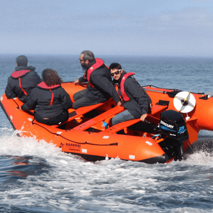 Narwhal SOLAS SV-420 Rescue Boat