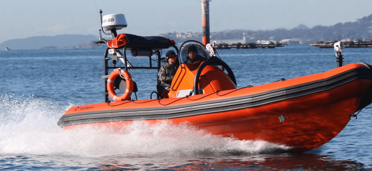 Narwhal Rigid Inflatable Boats